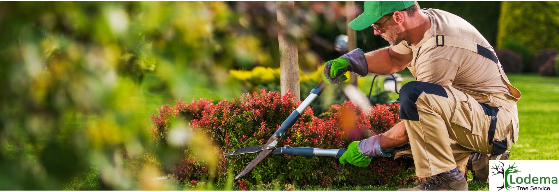 Oak Ridge NJ, Tree Service