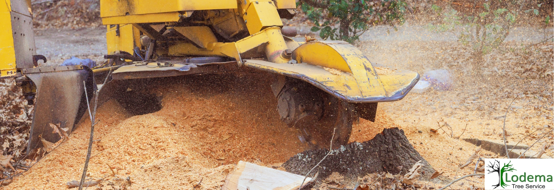 Stump Grinding