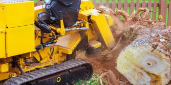Stump Grinding