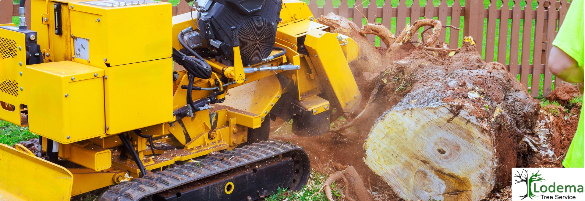 Stump Grinding