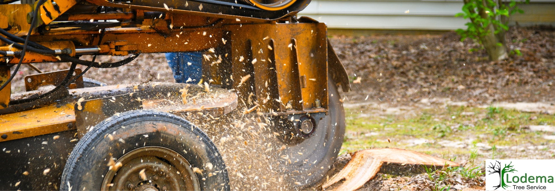Tree Service, Sussex NJ