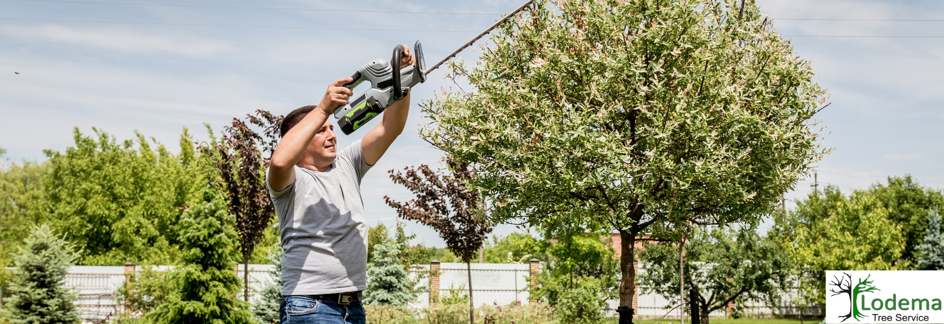 Tree Service Wayne NJ