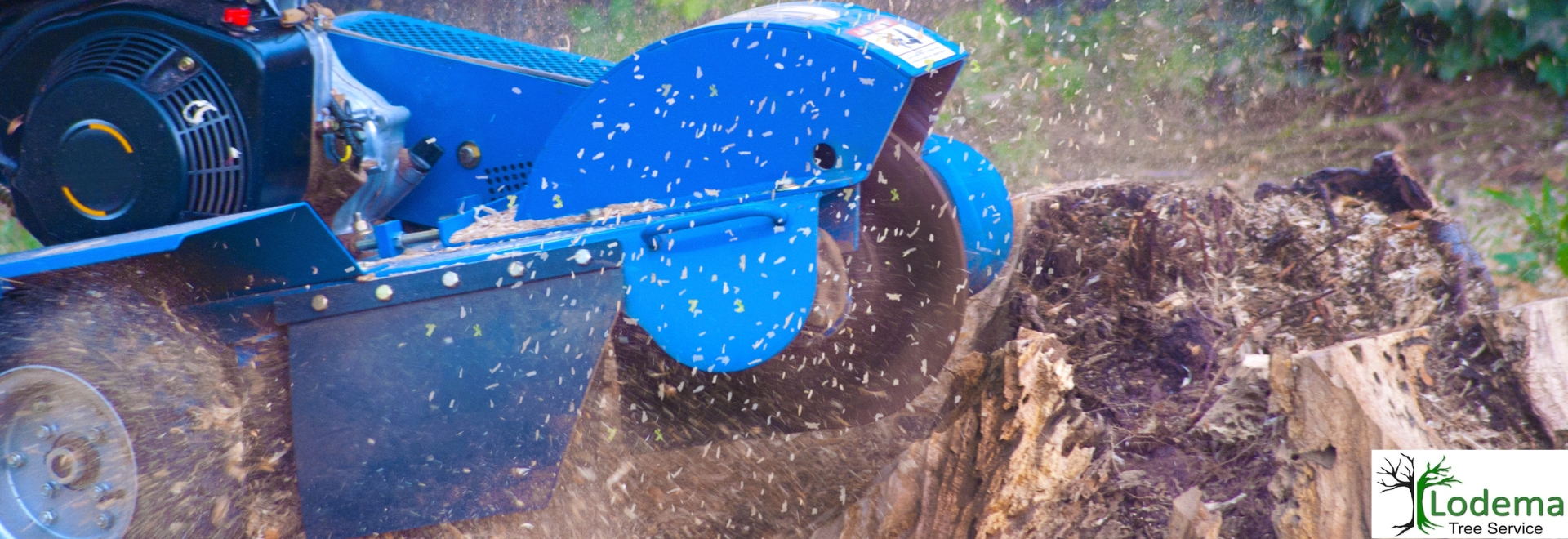Tree Service, Wyckoff NJ